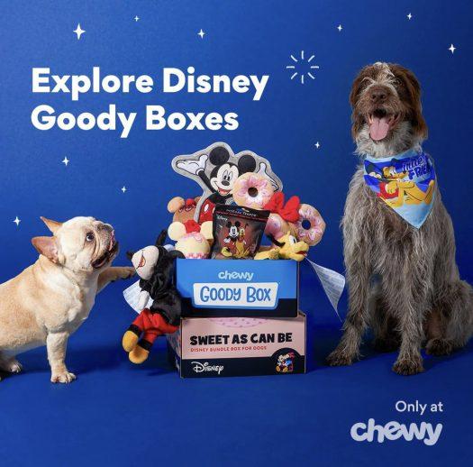 Chewy Disney Goody Boxes Are Now Available