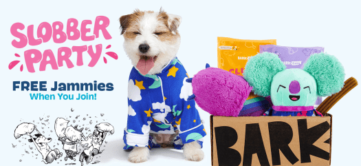 Read more about the article Barkbox Dog Jammies with Multi-Month Subscription!