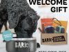 BarkBox Super Chewer Coupon Code – FREE Yeti Dog Bowl!