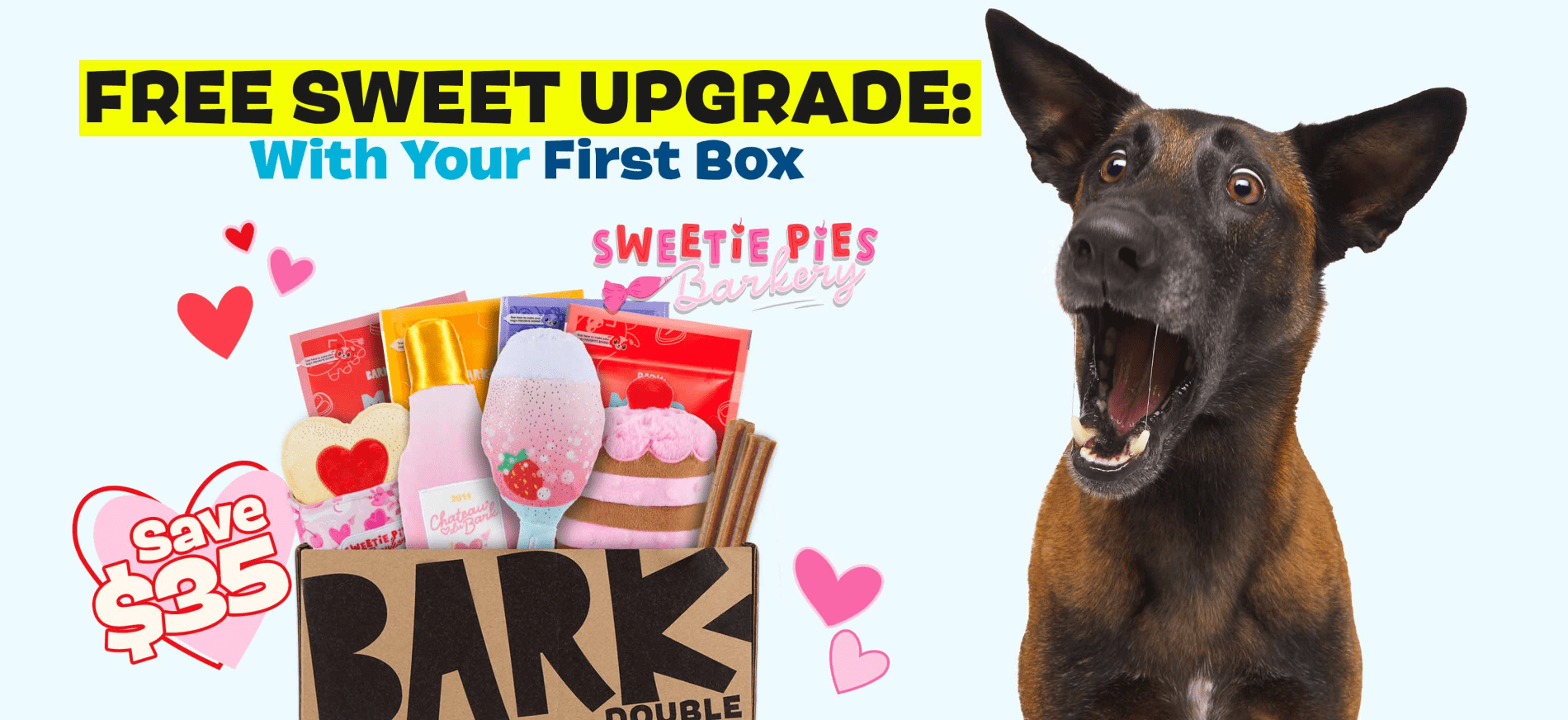 Read more about the article BarkBox Coupon Code – Double Your First Box Free!