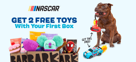 Read more about the article Barkbox – FREE Nascar Bundle with Multi-Month Subscription!