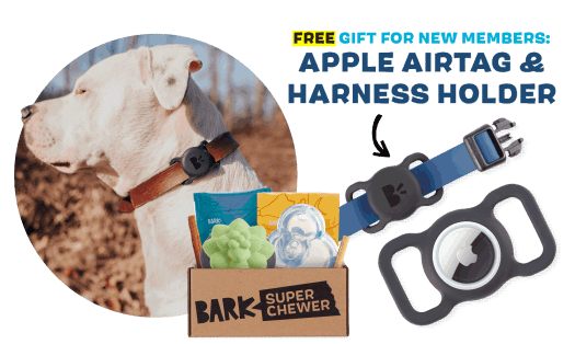 Read more about the article BarkBox Super Chewer Coupon Code – FREE Apple AirTag +  Custom BARK harness holder