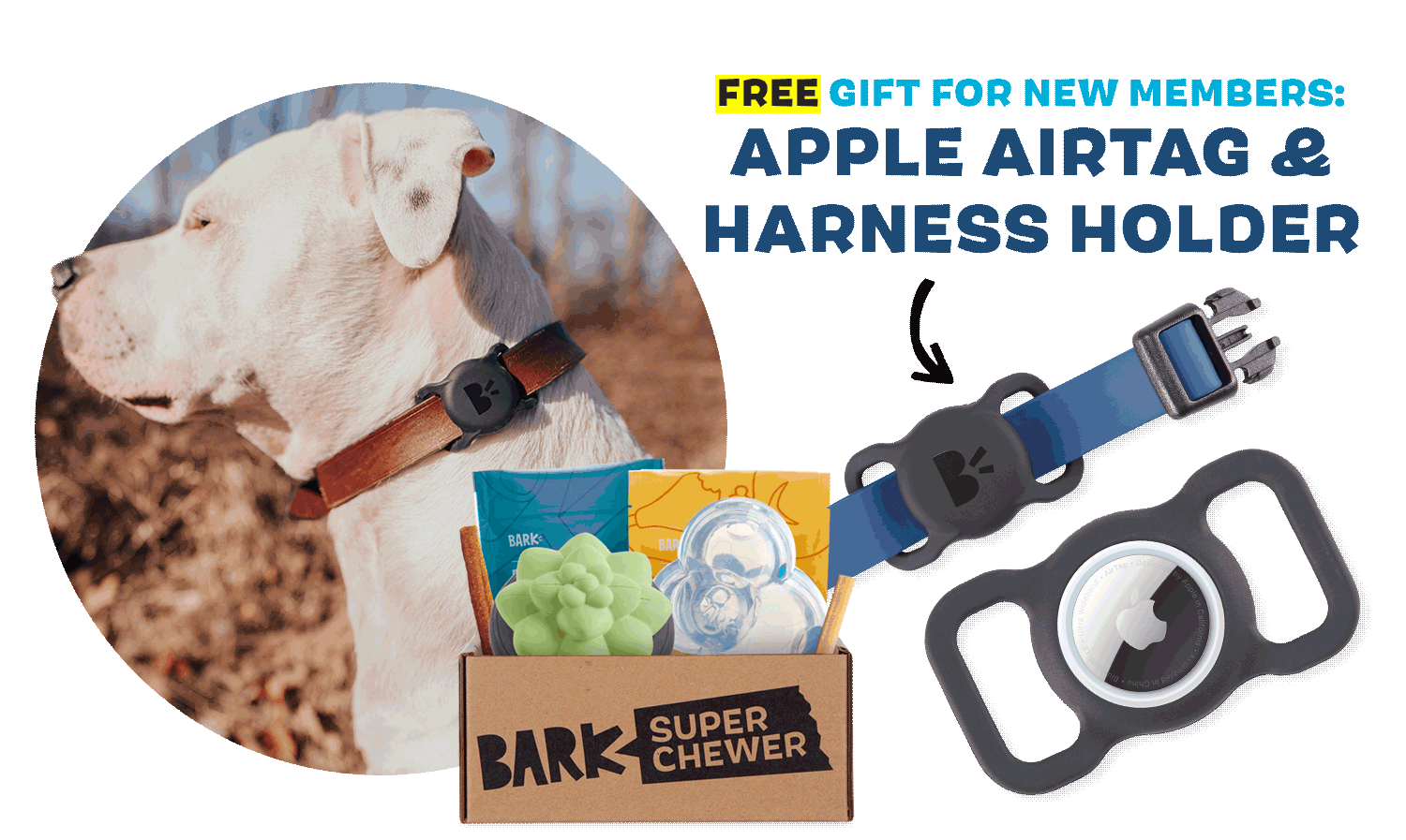 BarkBox Super Chewer Coupon Code – FREE Apple AirTag +  Custom BARK harness holder