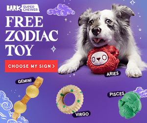BarkBox Super Chewer Coupon Code – FREE Zodiac Dog Toy!