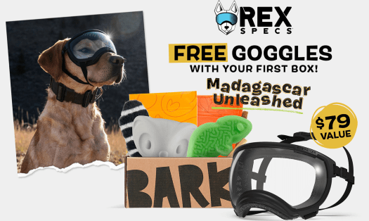 Read more about the article BarkBox Super Chewer Coupon Code – FREE Rex Specs Dog Goggles (value $79)
