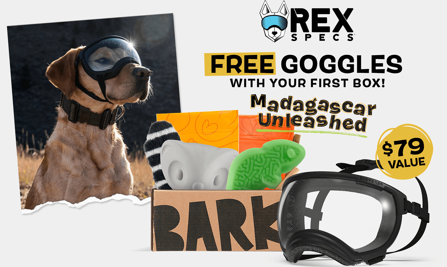 BarkBox Super Chewer Coupon Code – FREE Rex Specs Dog Goggles (value $79)