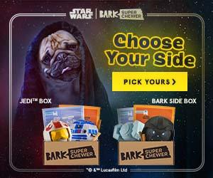 BarkBox Super Chewer Limited Edition Star Wars Box