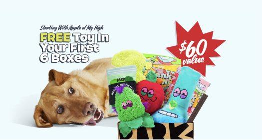 Read more about the article BarkBox Coupon Code: Free Bonus Toy in Every Box!