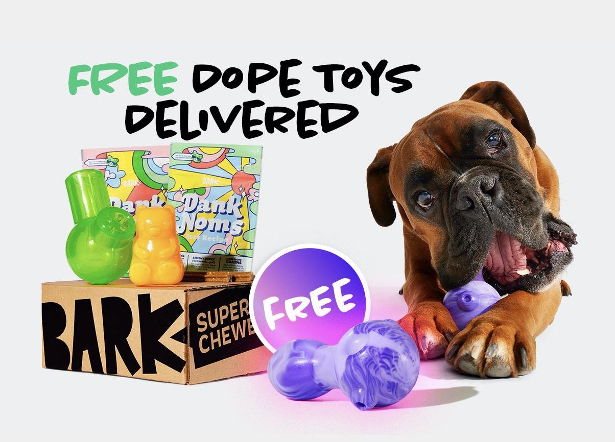 Read more about the article BarkBox Super Chewer Coupon Code – Free Extra Toys