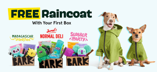 Read more about the article Barkbox – FREE Rain Coat with Multi-Month Subscription!