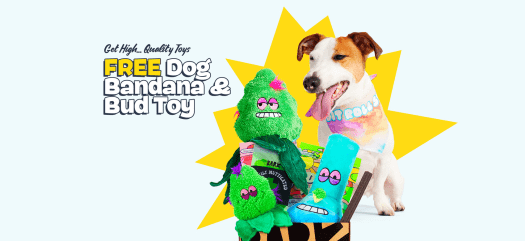 Barkbox – FREE 420 Toy Bundle with Multi-Month Subscription!