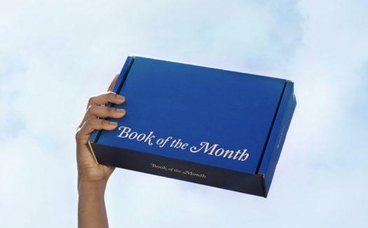 Read more about the article Book of the Month November 2022 Reveal + Selection Time + Coupon Code