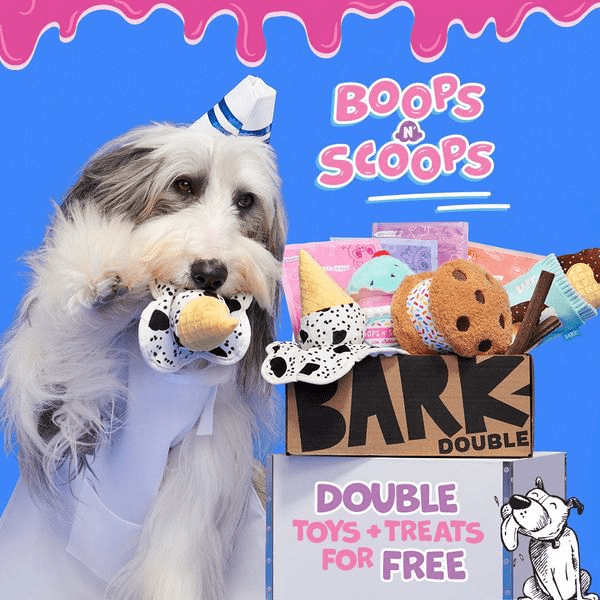 BarkBox Coupon Code – Double Your First Box Free!