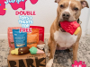 BarkBox Super Chewer Coupon Code – Double Your First Box