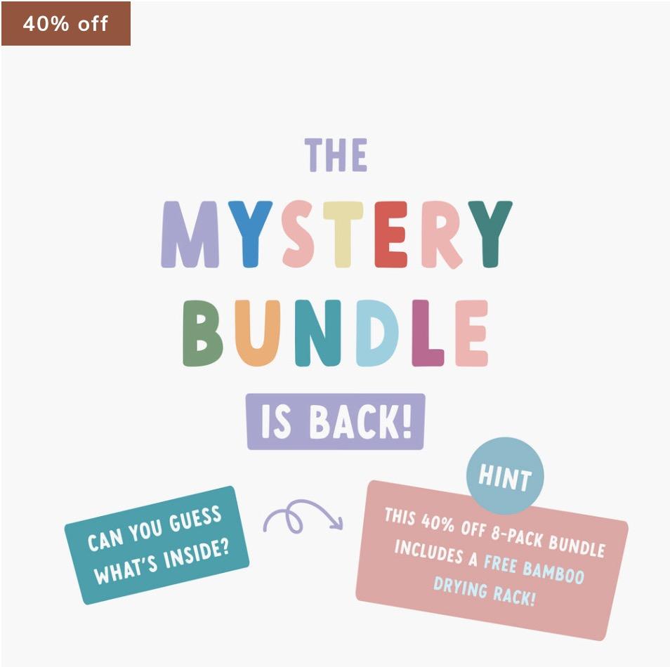 Read more about the article Stasher Mystery Bundle + Free Bamboo Dryng Rack