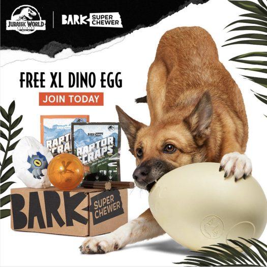 Read more about the article BarkBox Super Chewer Coupon Code – FREE Jurassic World XL Egg Toy