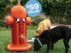 BarkBox Super Chewer Coupon Code – FREE Fire Hydrant Sprinkler