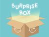 DW Home Mystery Candle Surprise Box