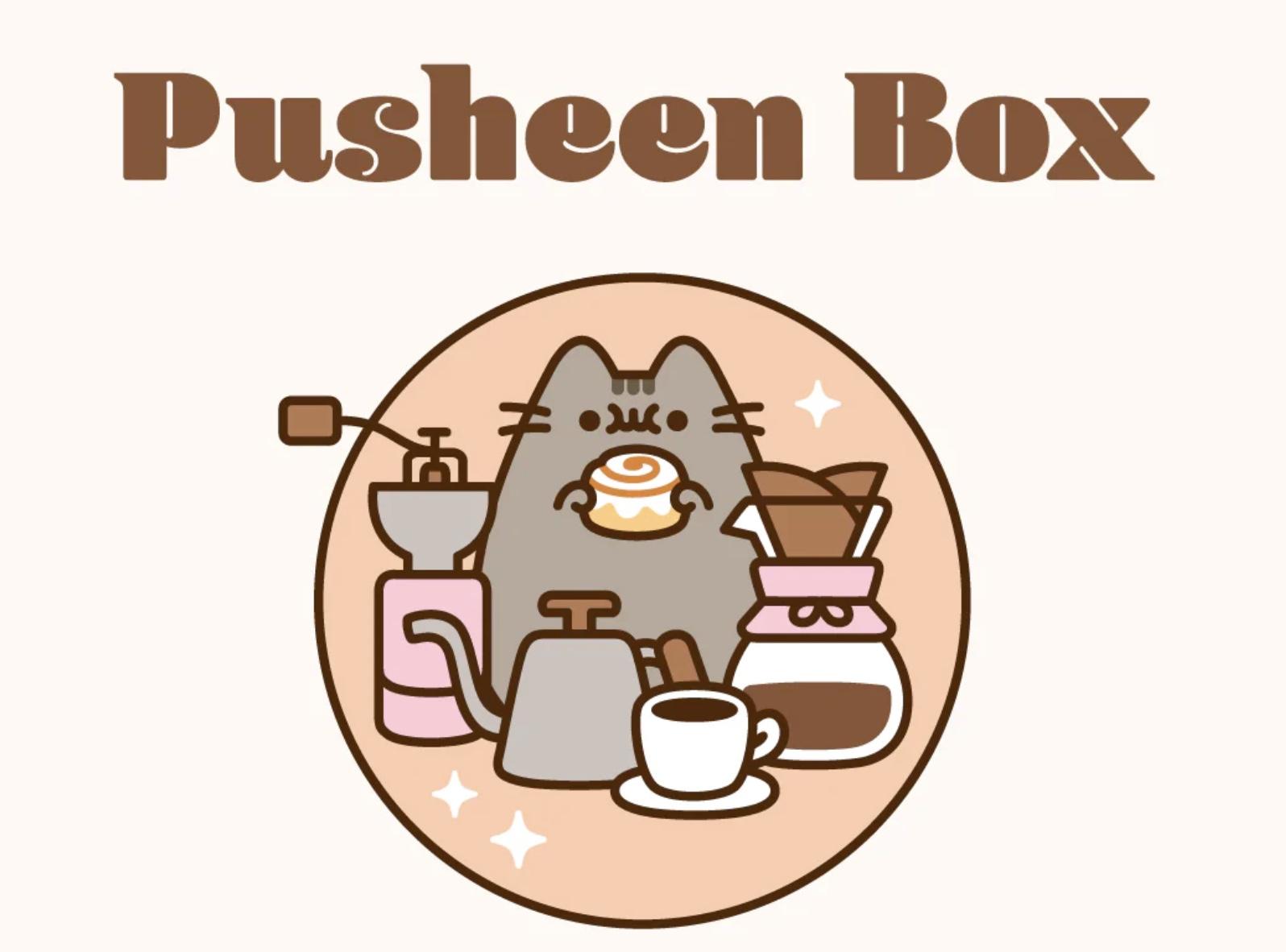 Pusheen Summer 2022 Box Theme Spoiler