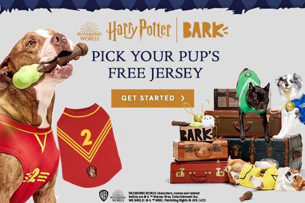 BarkBox Super Chewer Coupon Code – FREE Quidditch™ Dog Jersey