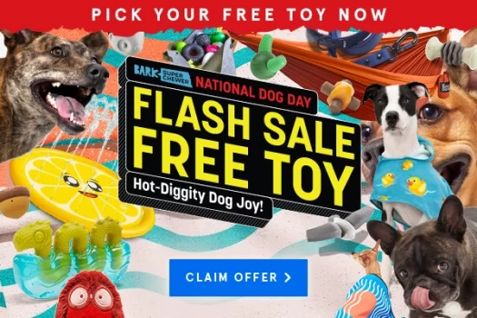 Read more about the article BarkBox Super Chewer Coupon Code – Your Choice of Free Gift in First Box