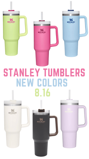 Read more about the article Stanley 1913 Adventure Quencher Travel Tumbler 40oz – New Colors Coming Tuesday!