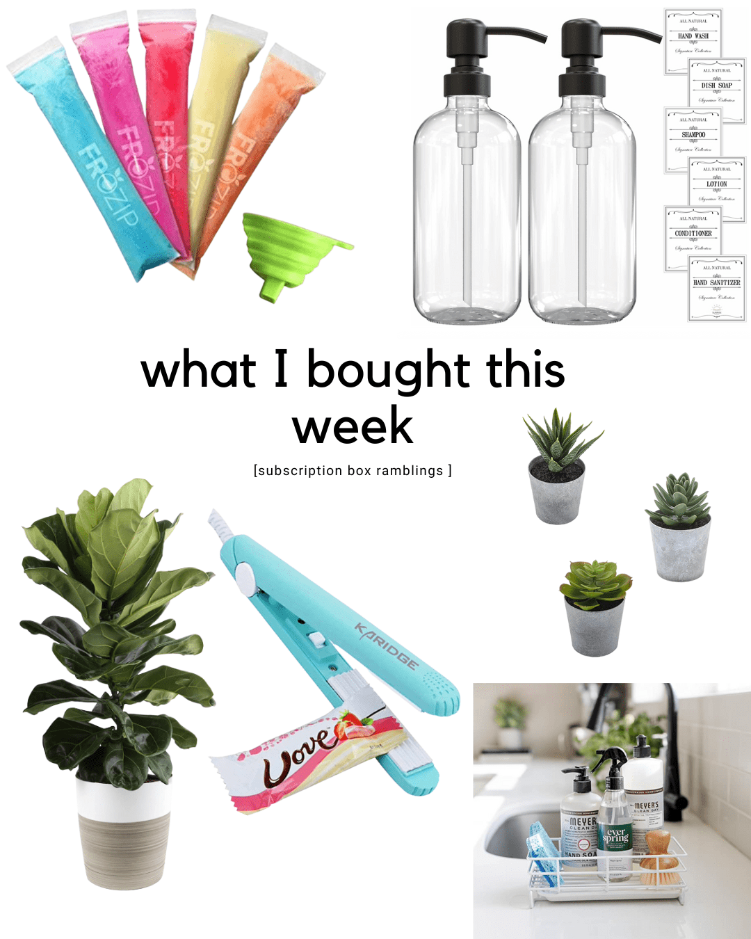 What I Bought This Week!