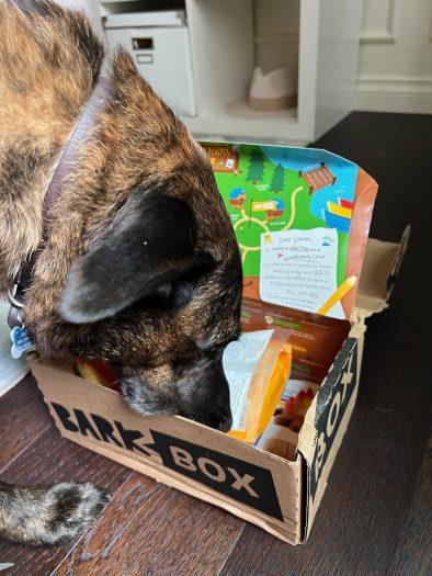 BarkBox Review + Coupon Code - August 2022