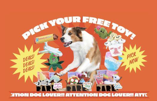 Read more about the article Barkbox Your Choice of FREE Gift with First Box!