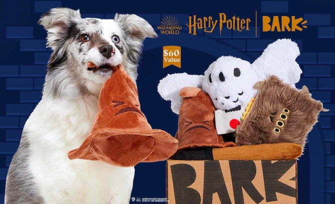 Read more about the article BarkBox Coupon Code: Free Extra Toys!