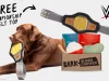 BarkBox Super Chewer Coupon Code – FREE WWE Belt Toy