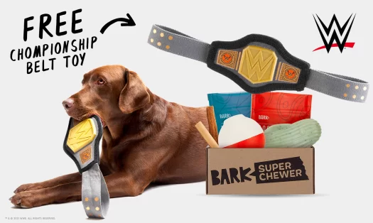 BarkBox Super Chewer Coupon Code – FREE WWE Belt Toy