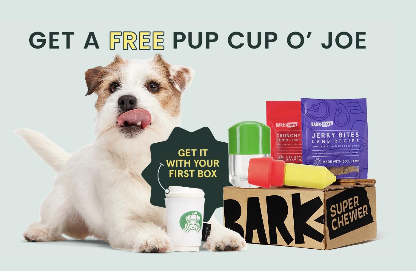 Read more about the article BarkBox Super Chewer – FREE Pupkin Spice Yappucino Toy