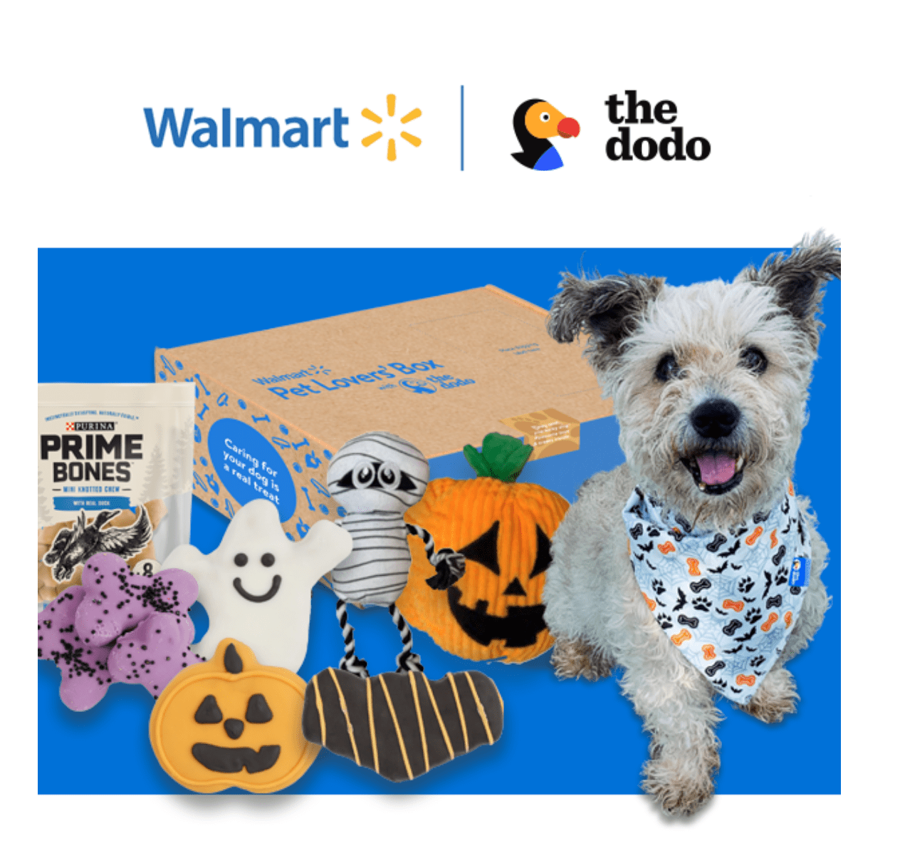 New Box Alert: Walmart Pet Lovers’Box