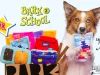 BarkBox Coupon Code – Double Your First Box Free!