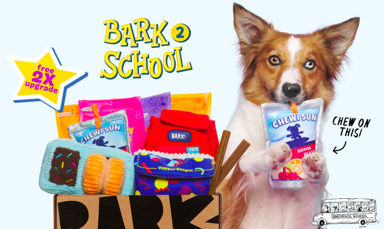 Read more about the article BarkBox Coupon Code – Double Your First Box Free!