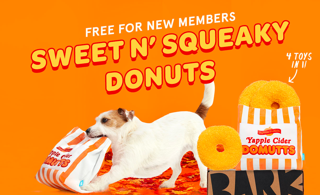 Read more about the article Barkbox – FREE XL Yapple Cider Domutts Toy with Multi-Month Subscription!