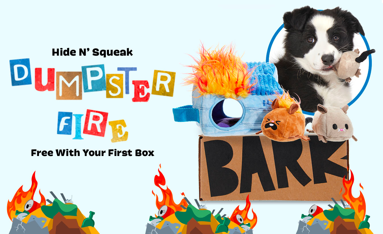 Barkbox Free Dumpster Fire Toy with Multi-Month Subscription!