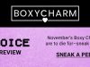 BOXYCHARM December 2022 Base Box Choice Spoilers!