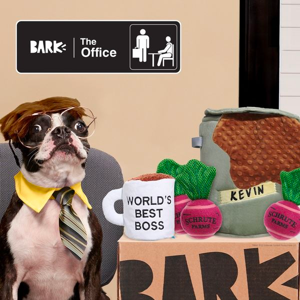 Read more about the article Barkbox THREE Free The Office Toys with Multi-Month Subscription!