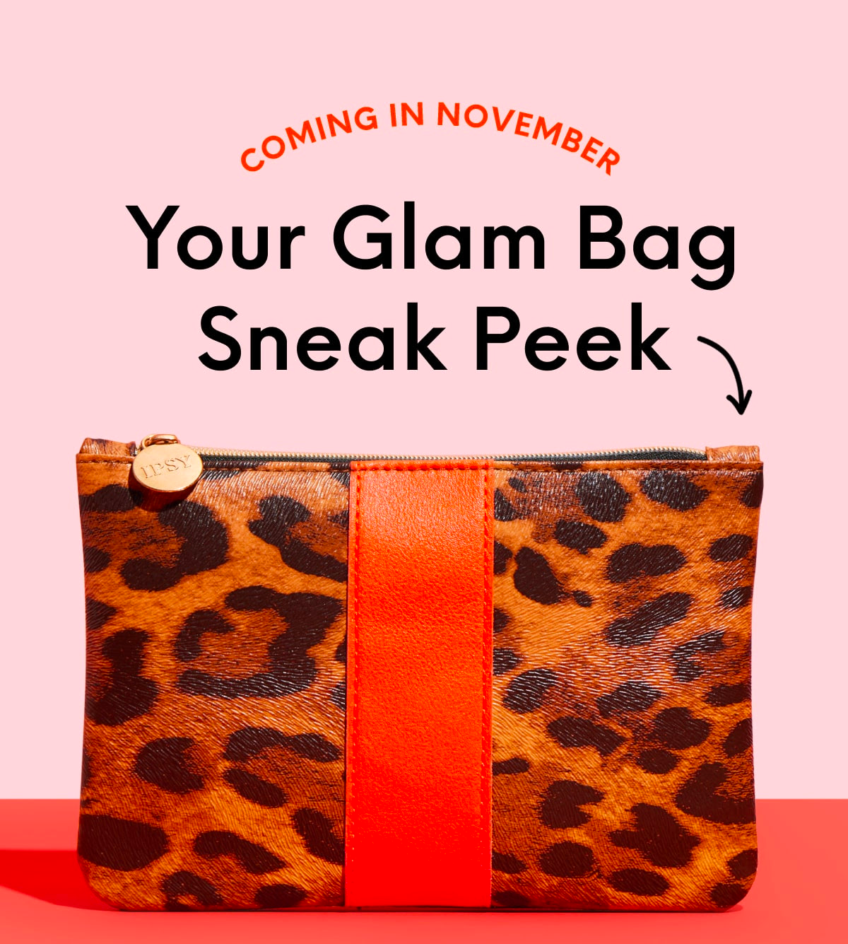 Read more about the article November 2022 ipsy Glam Bag Choice Spoilers
