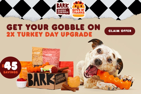 Read more about the article BarkBox Super Chewer Coupon Code – Double Your First Box
