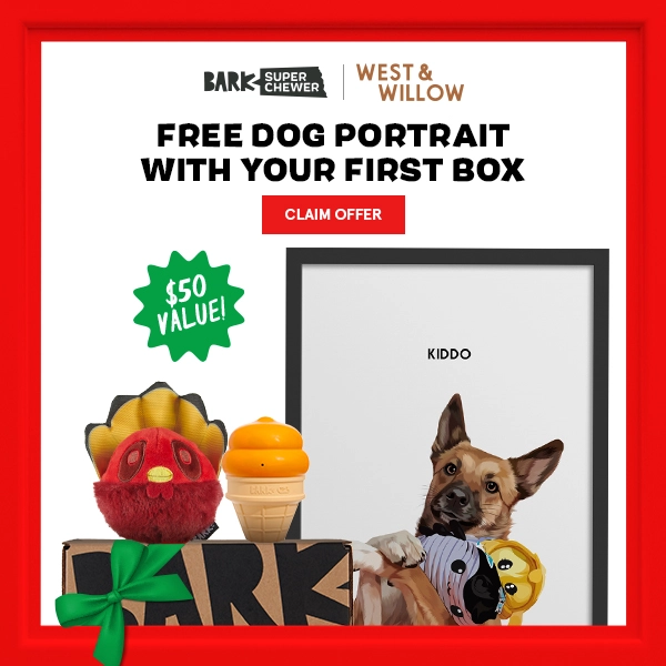 Read more about the article BarkBox Super Chewer Coupon Code – FREE West & Willow Dog Portrait ($50 value)