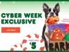 Super Chewer by BarkBox Cyber Monday Coupon Code – First Box for $5