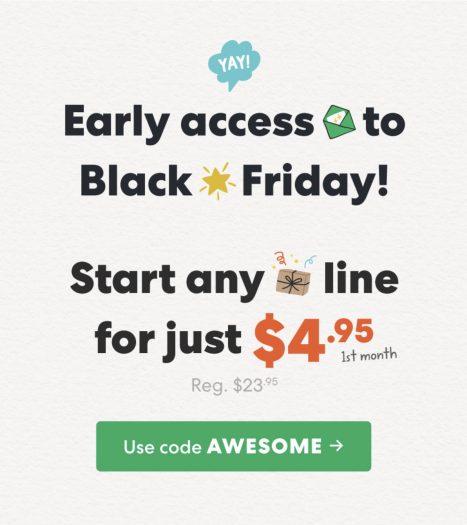 Read more about the article KiwiCo Black Friday Sale – First Month for $4.95!
