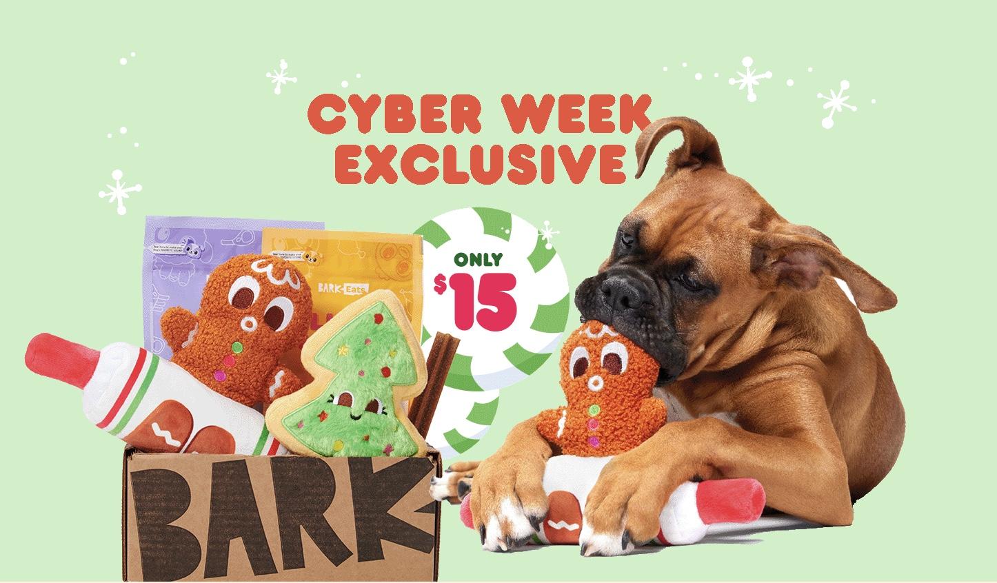 Read more about the article BarkBox Black Friday Coupon Code – First Box for $15