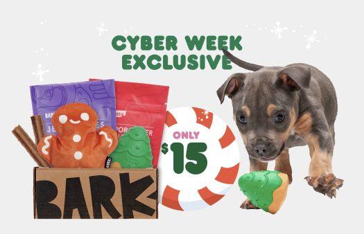 Read more about the article Super Chewer by BarkBox Black Friday Coupon Code – First Box for $15