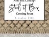 Decor Steals Black Friday Steal It Box – Coming Soon