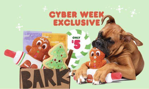 Read more about the article BarkBox Cyber Monday Coupon Code – First Box for $5