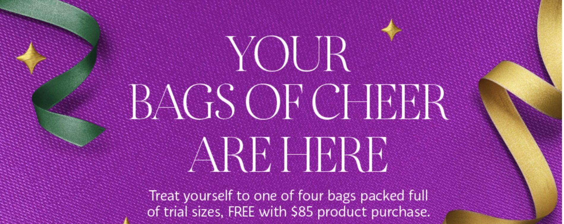 Read more about the article Sephora Black Friday Offer – Free Sample Bag with $85+ Purchase